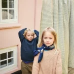 T17-33 Pontus perlupeysa